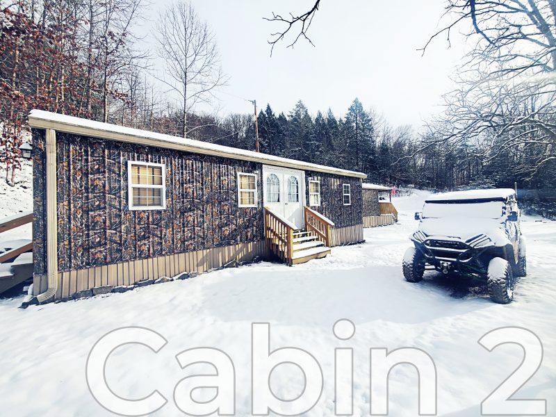 RealTree Camo Cabin 2