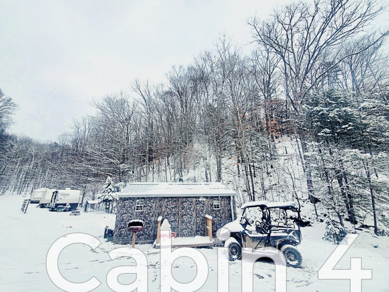 RealTree Camo Cabin 4