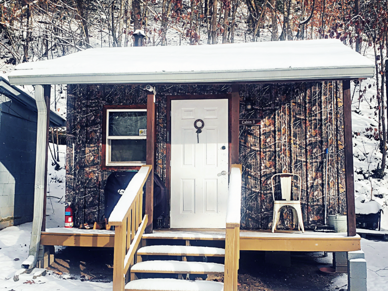 RealTree Camo Cabin 3